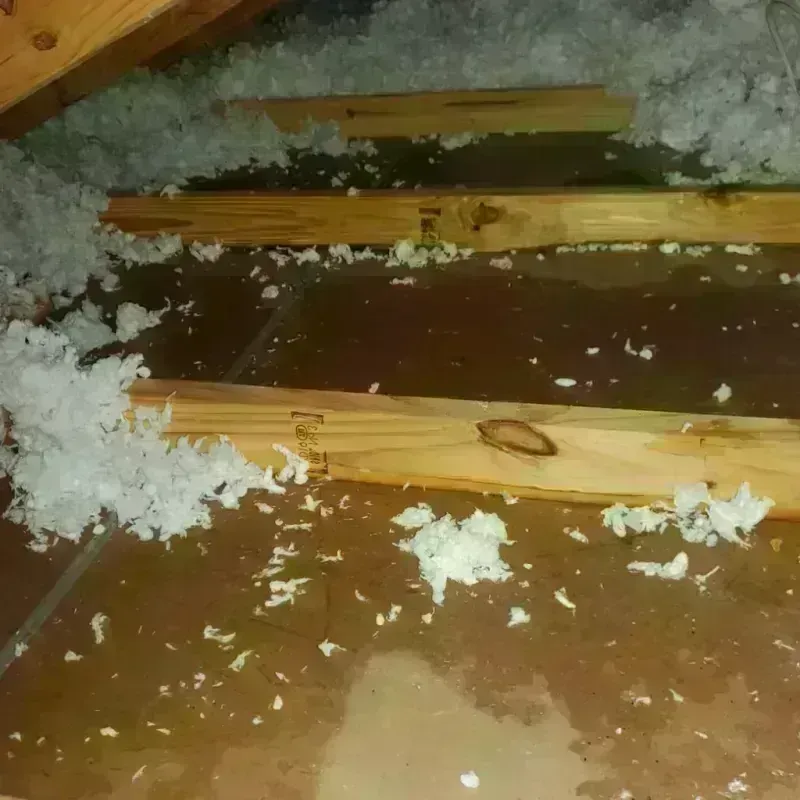 Attic Water Damage in Carterville, IL